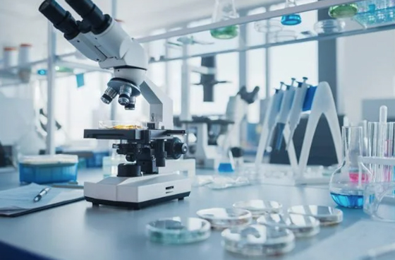 Laboratory Setup